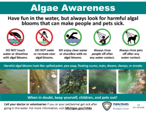 An educational infographic titled "Algae Awareness" from Public Health Muskegon County.
The top banner reads: "Have fun in the water, but always look for harmful algal blooms that can make people and pets sick."
Below the banner, five circular icons illustrate key safety rules:
1. A hand over green waves with a red "no" slash: "DO NOT touch water or shoreline with algal blooms."
2. A person wading with a red "no" slash: "DO NOT swim or recreate near algal blooms."
3. A person swimming in clear blue water inside a green circle: "DO enjoy clear water or shoreline with no algal blooms."
4. A person rinsing under a shower head inside a green circle: "Always rinse people off after any water contact."
5. A dog rinsing under a shower head inside a green circle: "Always rinse pets off after any water contact."
A teal horizontal banner in the middle states: "Harmful algal blooms look like: spilled paint, pea soup, floating scums, mats, sheens, clumps, or streaks." Directly beneath this text is a row of five real-world photographs showing various forms of green, cloudy, and clumpy algal blooms in lakes and along shorelines.
A bottom teal banner reads: "When in doubt, keep yourself, children, and pets out!"
The footer includes the following call to action and contact information:
* "Call your doctor or veterinarian if you or your pet/animal get sick after going in the water. For more information, visit Michigan.gov/HABs"
* Public Health Muskegon County logo (with the tagline: "Prevent. Promote. Protect.")
* "Call 231-724-6208"