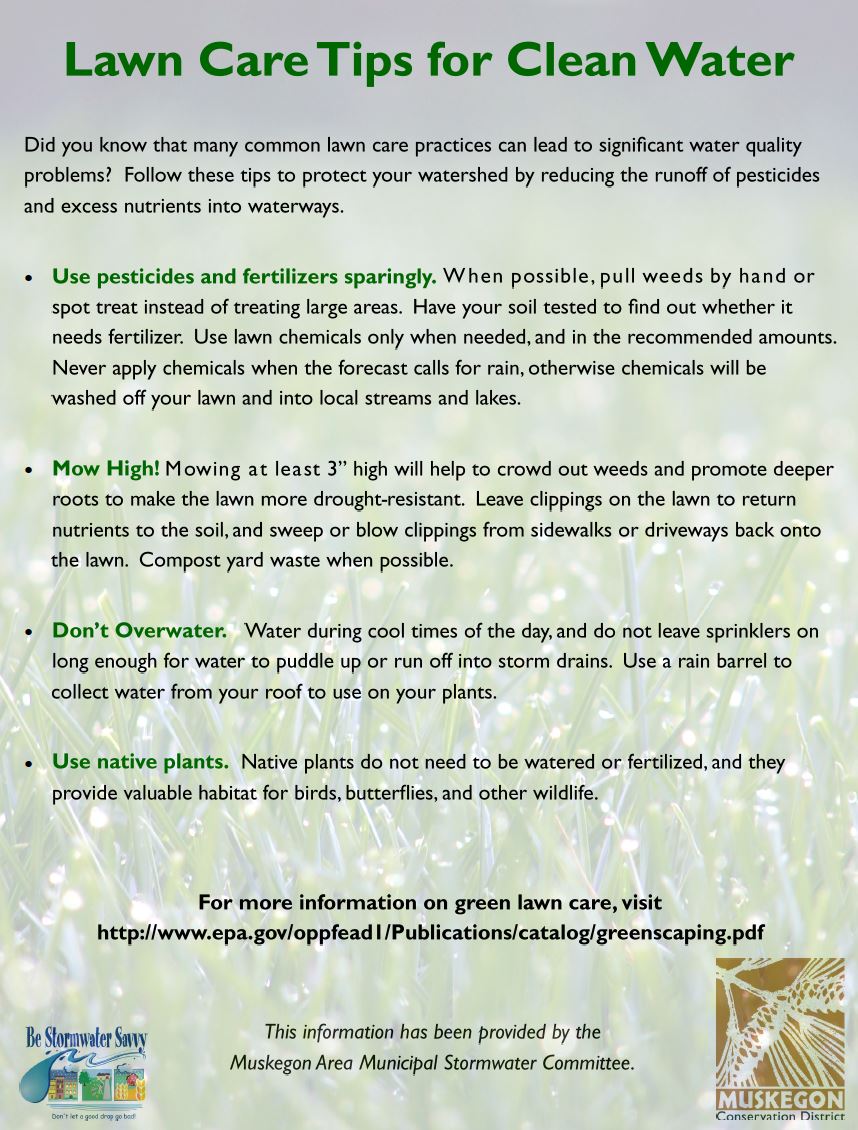 Lawn Care Tips for Clean Water