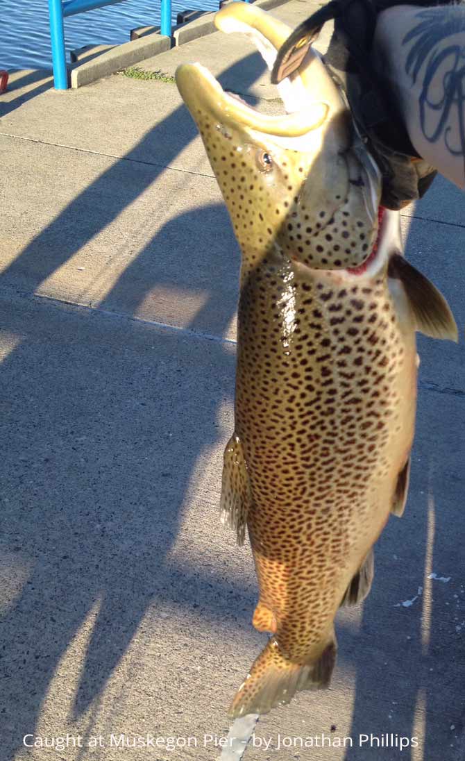 Jonathan Phillips hooked this fish from the Muskegon Pier